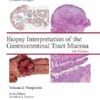 Biopsy Interpretation of the Gastrointestinal Tract Mucosa Volume 2: Neoplastic: eBook without Multimedia (Biopsy Interpretation Series) 4th edition (EPUB)