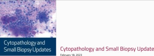 Houston Methodist Cytopathology and Small Biopsy Update 2023