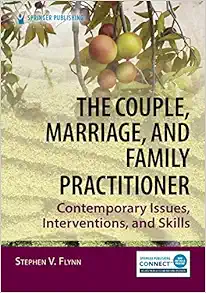 The Couple, Marriage, and Family Practitioner: Contemporary Issues, Interventions, and Skills (EPUB)