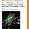 Compendium of in Vivo Monitoring in Real-Time Molecular Neuroscience – Volume 3: Probing Brain Function, Disease and Injury with Enhanced Optical and Electrochemical Sensors (PDF)