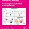 Overcoming Cancers Resistant to HER-2 Antibodies (PDF)