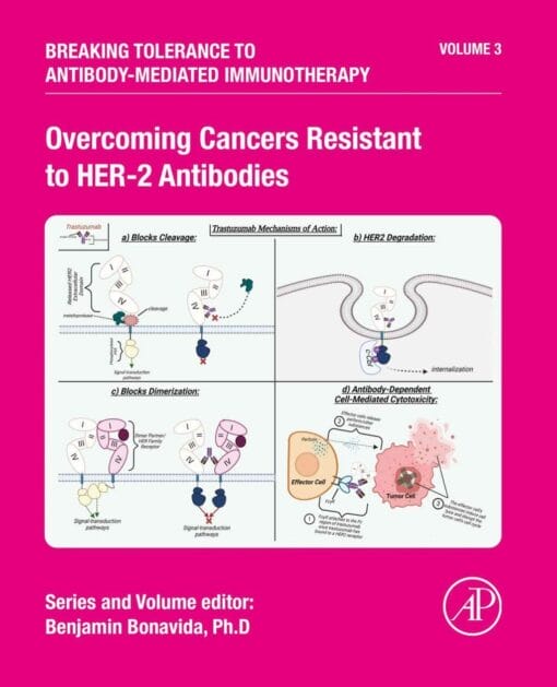 Overcoming Cancers Resistant to HER-2 Antibodies (PDF)