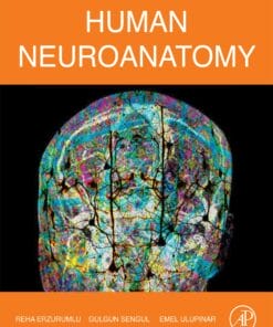 Human Neuroanatomy (EPUB)