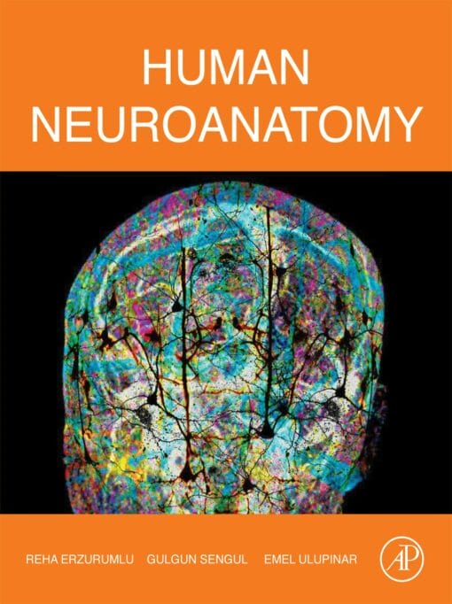 Human Neuroanatomy (EPUB)