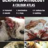 Canine Dermatopathology: A Colour Atlas (PDF)