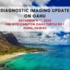 CMESCIENCE Diagnostic Imaging Update on Oahu December 8-11, 2024