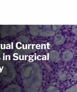 Harvard 45th Annual Current Concepts in Surgical Pathology 2024