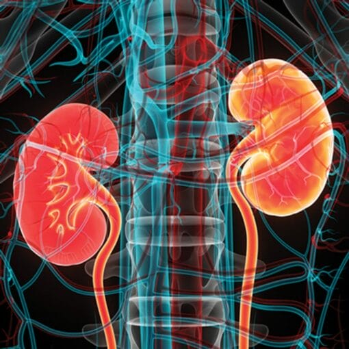 Intensive Review of Nephrology 2024 (Oakstone)