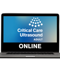 Society of Critical Care Medicine Critical Care Ultrasound Adult Self-Directed 2020