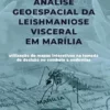 Análise Geoespacial da Leishmaniose Visceral em Marília: utilização de mapas interativos na tomada de decisão no combate a endemias (Portuguese Edition) (EPUB)