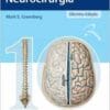 MANUAL DE NEUROCIRUGIA, 1st Edition (EPUB)