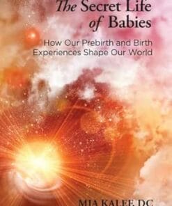 The Secret Life of Babies: How Our Prebirth and Birth Experiences Shape Our World (EPUB)