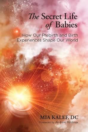 The Secret Life of Babies: How Our Prebirth and Birth Experiences Shape Our World (EPUB)