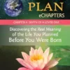 Your Soul’s Plan eChapters – Chapter 6: Death of a Loved One: Discovering the Real Meaning of the Life You Planned Before You Were Born (EPUB)