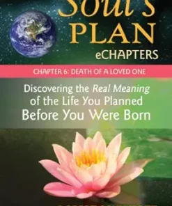 Your Soul’s Plan eChapters – Chapter 6: Death of a Loved One: Discovering the Real Meaning of the Life You Planned Before You Were Born (EPUB)