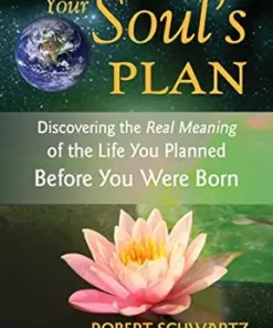 Your Soul’s Plan: Discovering the Real Meaning of the Life You Planned Before You Were Born (EPUB)