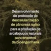 Desenvolvimento de protocolo de descelularização de pâncreas suíno para a produção de arcabouços naturais para enxertos de bioengenharia (Portuguese Edition) (EPUB)