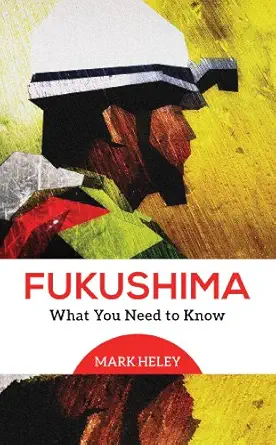 Fukushima: What You Need to Know (EPUB)