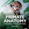 Primate Anatomy: Introduction to Extant Primates, 4th Edition (EPUB)