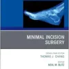 Minimal Incision Surgery, An issue of Clinics in Podiatric Medicine and Surgery (The Clinics: Orthopedics, Volume 42-1) (PDF)