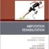 Amputation Rehabilitation, An Issue of Physical Medicine and Rehabilitation Clinics, Volume 35-4 (PDF)