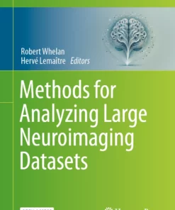 Methods for Analyzing Large Neuroimaging Datasets: