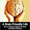 A Brain-Friendly Life (PDF)