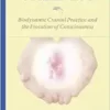 Stillness: Biodynamic Cranial Practice and the Evolution of Consciousness, 1st Edition (EPUB)