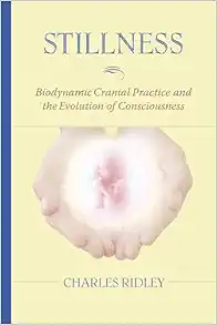 Stillness: Biodynamic Cranial Practice and the Evolution of Consciousness, 1st Edition (EPUB)