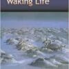 The Bardo of Waking Life (EPUB)