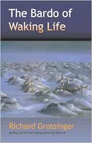 The Bardo of Waking Life (EPUB)