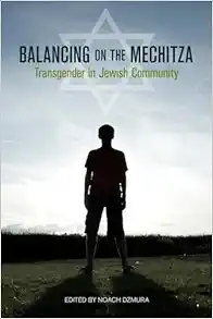 Balancing on the Mechitza: Transgender in Jewish Community (Io Series) (EPUB)
