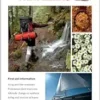 Homeopathic Guide for Travelers: Remedies for Health and Safety (EPUB)