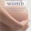 Windows to the Womb: Revealing the Conscious Baby from Conception to Birth (EPUB)