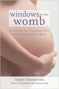 Windows to the Womb: Revealing the Conscious Baby from Conception to Birth (EPUB)