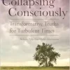 Collapsing Consciously: Transformative Truths for Turbulent Times (Sacred Activism) (EPUB)