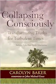 Collapsing Consciously: Transformative Truths for Turbulent Times (Sacred Activism) (EPUB)