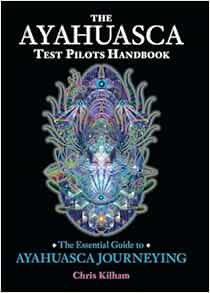 The Ayahuasca Test Pilots Handbook: The Essential Guide to Ayahuasca Journeying (EPUB)