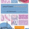 Anatomic Pathology for Veterinary Clinicians (EPUB)