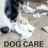 The Dog Care Handbook: Things I Wish My Vet Had Told Me (PDF)