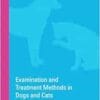 Examination and Treatment Methods in Dogs and Cats: 2nd Edition (PDF)