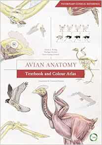 Avian Anatomy: Textbook and Colour Atlas (Veterinary Atlases), 2nd Edition (EPUB)