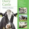 Dairy Cattle Welfare in Practice (Animal Welfare in Practice) (EPUB)