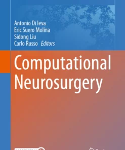Computational Neurosurgery: