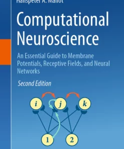 Computational Neuroscience: An Essential Guide to Membrane Potentials, Receptive Fields, and Neural Networks