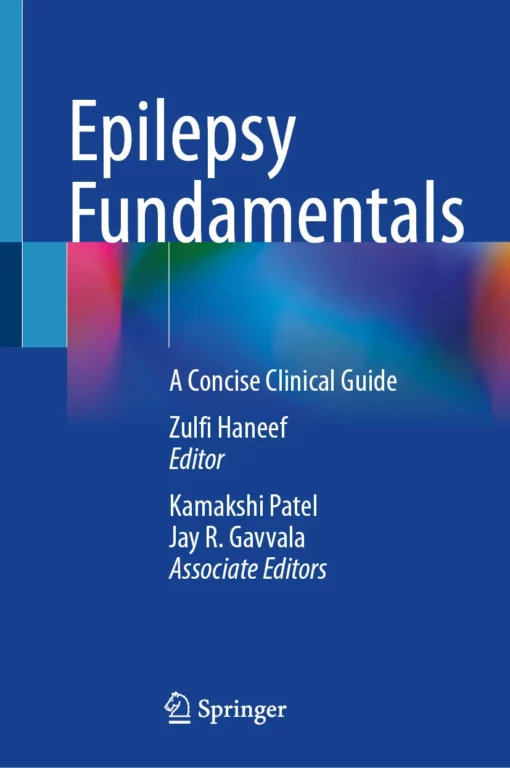 Epilepsy Fundamentals: A Concise Clinical Guide