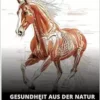 Gesundheit aus der Natur für Pferde: Innovative Methoden zur Förderung der Pferdegesundheit (German Edition) (EPUB)