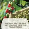 Grüner Kaffee: Der natürliche Weg zur Traumfigur: Effektives Abnehmen, köstliche Rezepte und gesundheitliche Vorteile (German Edition) (EPUB)