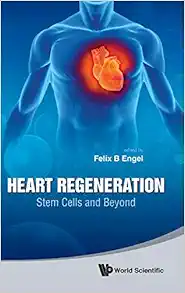 Heart Regeneration: Stem Cells and Beyond (PDF)