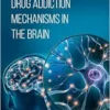 Drug Addiction Mechanisms in the Brain (EPUB)